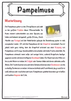 Vorschau - Unterrichtsreihen - Pampelmuse Lückentext mit Wortspeicher Hörverstehen und Suchsel - Seite 2