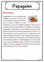 Vorschau - Unterrichtsreihen - Papageien Lückentext mit Wortspeicher Hörverstehen und Suchsel - Seite 2