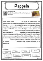 Vorschau - Unterrichtsreihen - Pappeln Lückentext mit Wortspeicher Hörverstehen und Suchsel - Seite 1