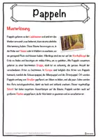 Vorschau - Unterrichtsreihen - Pappeln Lückentext mit Wortspeicher Hörverstehen und Suchsel - Seite 2