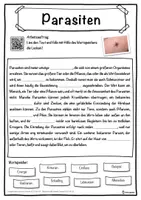 Vorschau - Unterrichtsreihen - Parasiten Lückentext mit Wortspeicher Hörverstehen und Suchsel - Seite 1