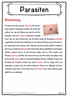 Vorschau - Unterrichtsreihen - Parasiten Lückentext mit Wortspeicher Hörverstehen und Suchsel - Seite 2