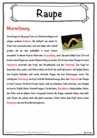 Vorschau - Unterrichtsreihen - Raupe Lückentext mit Wortspeicher Hörverstehen und Suchsel - Seite 2