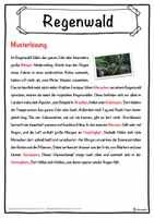 Vorschau - Unterrichtsreihen - Regenwald Lückentext mit Wortspeicher Hörverstehen und Suchsel - Seite 2