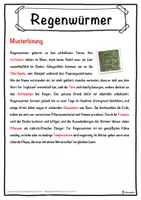 Vorschau - Unterrichtsreihen - Regenwürmer Lückentext mit Wortspeicher Hörverstehen und Suchsel - Seite 2