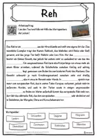 Vorschau - Unterrichtsreihen - Reh Lückentext mit Wortspeicher Hörverstehen und Suchsel - Seite 1