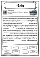 Vorschau - Unterrichtsreihen - Reis Lückentext mit Wortspeicher Hörverstehen und Suchsel - Seite 1