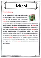 Vorschau - Unterrichtsreihen - Rekord Lückentext mit Wortspeicher Hörverstehen und Suchsel - Seite 2