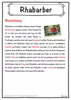 Vorschau - Unterrichtsreihen - Rhabarber Lückentext mit Wortspeicher Hörverstehen und Suchsel - Seite 2