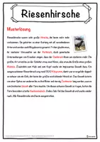 Vorschau - Unterrichtsreihen - Riesenhirsche Lückentext mit Wortspeicher Hörverstehen und Suchsel - Seite 2