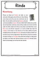 Vorschau - Unterrichtsreihen - Rinde Lückentext mit Wortspeicher Hörverstehen und Suchsel - Seite 2
