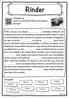 Vorschau - Unterrichtsreihen - Rinder Lückentext mit Wortspeicher Hörverstehen und Suchsel - Seite 1