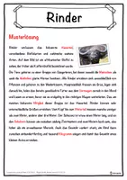 Vorschau - Unterrichtsreihen - Rinder Lückentext mit Wortspeicher Hörverstehen und Suchsel - Seite 2