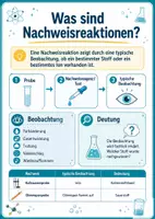 Vorschau - Arbeitsblätter - Nachweisreaktionen im Chemieunterricht – Stoffe erkennen, Experimente planen und Ergebnisse auswerten - Seite 2