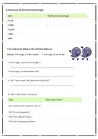 Vorschau - Arbeitsblätter - Übung Quali Deutsch - Teil B Sprachbetrachtung - Seite 2