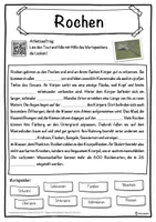 Vorschau - Unterrichtsreihen - Rochen Lückentext mit Wortspeicher Hörverstehen und Suchsel - Seite 1