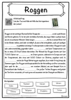 Vorschau - Unterrichtsreihen - Roggen Lückentext mit Wortspeicher Hörverstehen und Suchsel - Seite 1