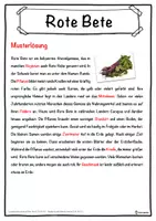 Vorschau - Unterrichtsreihen - Rote Bete Lückentext mit Wortspeicher Hörverstehen und Suchsel - Seite 2