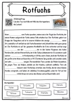 Vorschau - Unterrichtsreihen - Rotfuchs Lückentext mit Wortspeicher Hörverstehen und Suchsel - Seite 1