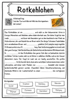 Vorschau - Unterrichtsreihen - Rotkehlchen Lückentext mit Wortspeicher Hörverstehen und Suchsel - Seite 1