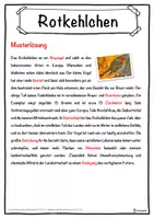 Vorschau - Unterrichtsreihen - Rotkehlchen Lückentext mit Wortspeicher Hörverstehen und Suchsel - Seite 2