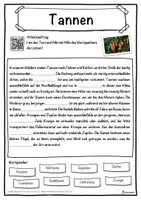 Vorschau - Unterrichtsreihen - Tannen Lückentext mit Wortspeicher Hörverstehen und Suchsel - Seite 1