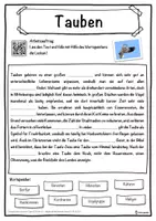 Vorschau - Unterrichtsreihen - Tauben Lückentext mit Wortspeicher Hörverstehen und Suchsel - Seite 1