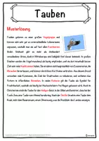 Vorschau - Unterrichtsreihen - Tauben Lückentext mit Wortspeicher Hörverstehen und Suchsel - Seite 2
