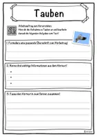 Vorschau - Unterrichtsreihen - Tauben Lückentext mit Wortspeicher Hörverstehen und Suchsel - Seite 3