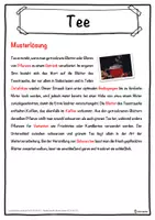 Vorschau - Unterrichtsreihen - Tee Lückentext mit Wortspeicher Hörverstehen und Suchsel - Seite 2