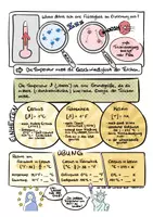 Vorschau - Mal- und Bastelvorlagen - Temperatur und Thermometer - Sketchnote/Arbeitsblatt/Poster für das Fach Physik - Seite 1