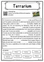 Vorschau - Unterrichtsreihen - Terrarium Lückentext mit Wortspeicher Hörverstehen und Suchsel - Seite 1