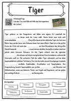 Vorschau - Unterrichtsreihen - Tiger Lückentext mit Wortspeicher Hörverstehen und Suchsel - Seite 1