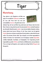 Vorschau - Unterrichtsreihen - Tiger Lückentext mit Wortspeicher Hörverstehen und Suchsel - Seite 2