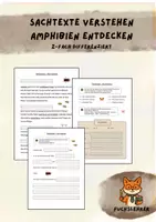 Vorschau - Arbeitsblätter - Sachtext Verstehen - Leseverständnis - Tierklasse Insekten differenziert - Deckblatt