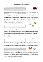 Vorschau - Arbeitsblätter - Sachtext Verstehen - Leseverständnis - Tierklasse Insekten differenziert - Seite 1