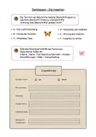 Vorschau - Arbeitsblätter - Sachtext Verstehen - Leseverständnis - Tierklasse Insekten differenziert - Seite 2