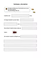 Vorschau - Arbeitsblätter - Sachtext Verstehen - Leseverständnis - Tierklasse Insekten differenziert - Seite 3