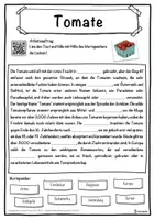Vorschau - Unterrichtsreihen - Tomate Lückentext mit Wortspeicher Hörverstehen und Suchsel - Seite 1