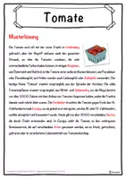 Vorschau - Unterrichtsreihen - Tomate Lückentext mit Wortspeicher Hörverstehen und Suchsel - Seite 2