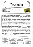 Vorschau - Unterrichtsreihen - Truthahn Lückentext mit Wortspeicher Hörverstehen und Suchsel - Seite 1