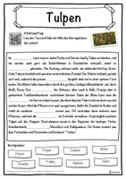 Vorschau - Unterrichtsreihen - Tulpen Lückentext mit Wortspeicher Hörverstehen und Suchsel - Seite 1
