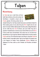 Vorschau - Unterrichtsreihen - Tulpen Lückentext mit Wortspeicher Hörverstehen und Suchsel - Seite 2
