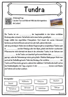 Vorschau - Unterrichtsreihen - Tundra Lückentext mit Wortspeicher Hörverstehen und Suchsel - Seite 1