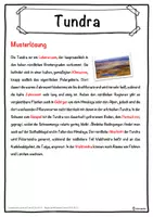 Vorschau - Unterrichtsreihen - Tundra Lückentext mit Wortspeicher Hörverstehen und Suchsel - Seite 2