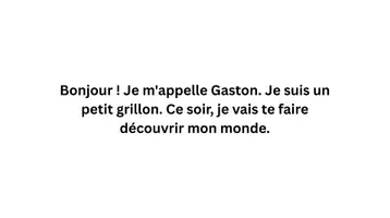 Aperçu - Préparation de séance / Séance complète - Kamishibaï – Les insectes d'été : le petit grillon - Page 2