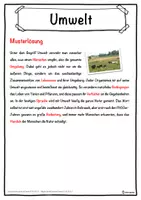 Vorschau - Unterrichtsreihen - Umwelt Lückentext mit Wortspeicher Hörverstehen und Suchsel - Seite 2