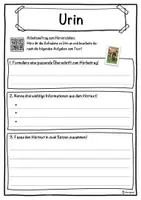 Vorschau - Unterrichtsreihen - Urin Lückentext mit Wortspeicher Hörverstehen und Suchsel - Seite 3
