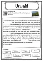 Vorschau - Unterrichtsreihen - Urwald Lückentext mit Wortspeicher Hörverstehen und Suchsel - Seite 1