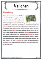 Vorschau - Unterrichtsreihen - Veilchen Lückentext mit Wortspeicher Hörverstehen und Suchsel - Seite 2
